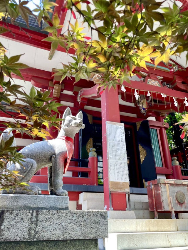 【東京都】眼病平癒ご利益ある神社