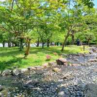 【京都】京都旅はここから始まる！名勝円山公園