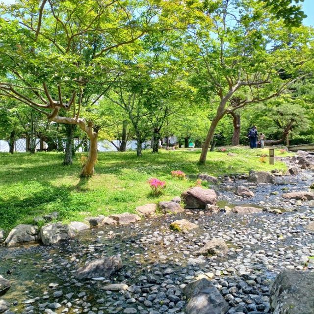 【京都】京都旅はここから始まる！名勝円山公園