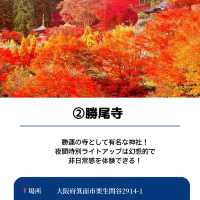 【保存必須!!】2024 大阪の紅葉スポット