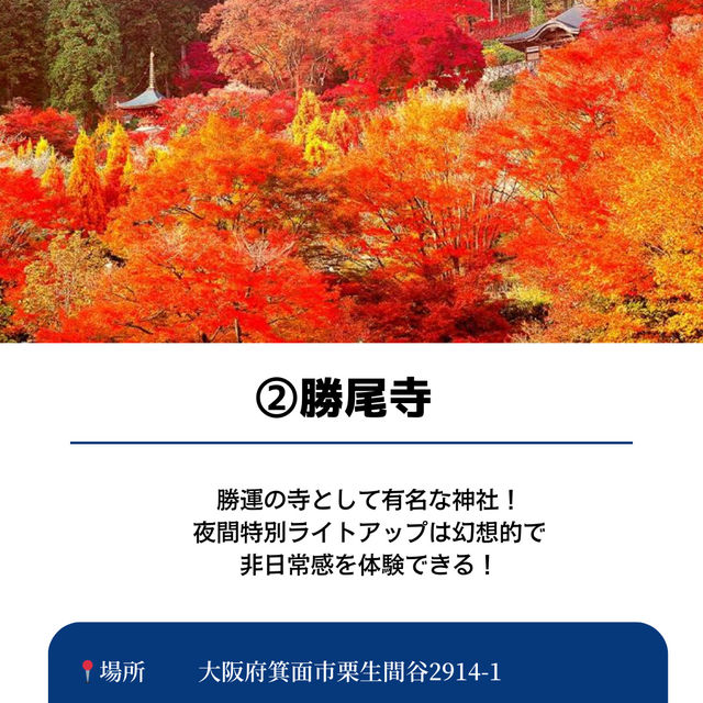 【保存必須!!】2024 大阪の紅葉スポット