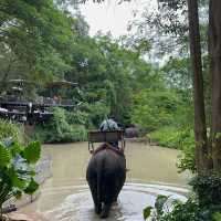 หมู่บ้านช้างที่ไม่ได้มีแค่ช้าง 🐘 