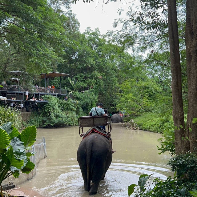 หมู่บ้านช้างที่ไม่ได้มีแค่ช้าง 🐘 
