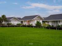 "บ้านสวนอบอวลรัก บ้านนา" ครบจบทั้ง ที่พัก คาเฟ่