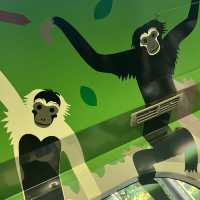 【横浜】よこはま動物園ZOORASIA - たくさんの動物が見られる国内最大級の動物園 -
