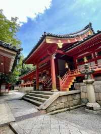 【京都府】青空に映える朱塗りの社殿