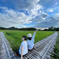 วิวทุ่งนาบ้านนาต้นจั่น