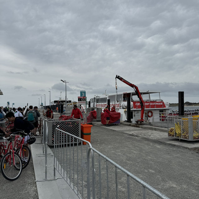 Hillarys Ferry Dock：前往羅特尼斯島的起點 🛳️🐳