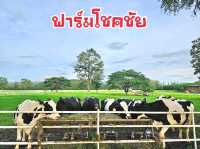 ฟาร์มโชคชัย จ.นครราชสีมา