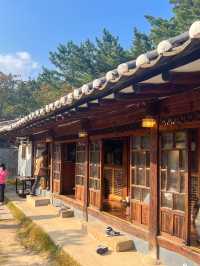 한옥과 소나무의 조화가 예쁜 경주카페🌳