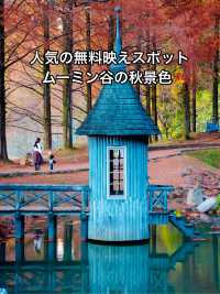 【人気の紅葉映えスポット】子供も思いっきり楽しめる公園