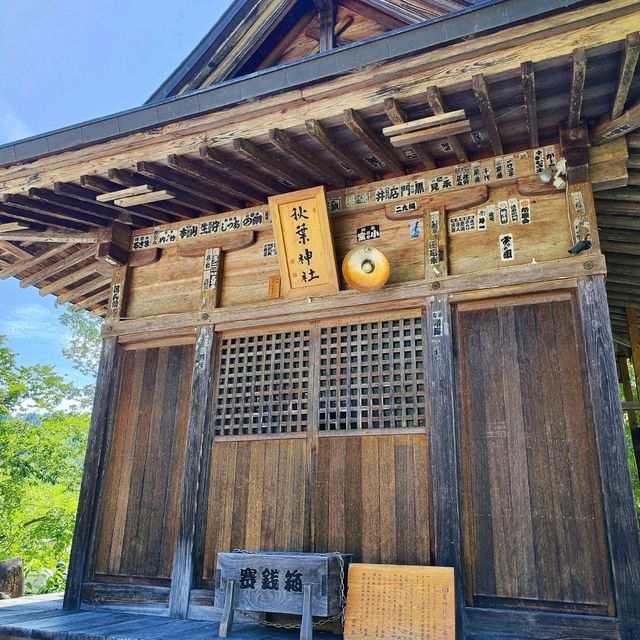 Shirakawago in Summer