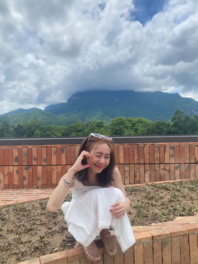 Tata Chiang Dao Cafe  คาเฟ่วิวดอยหลวงเชียงดาว☘️