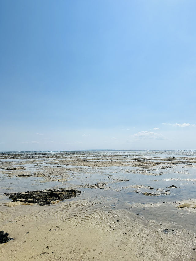 【奄美大島】大瀬海岸