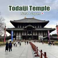 Todaiji Temple • เมืองนารา 🇯🇵 ญี่ปุ่น