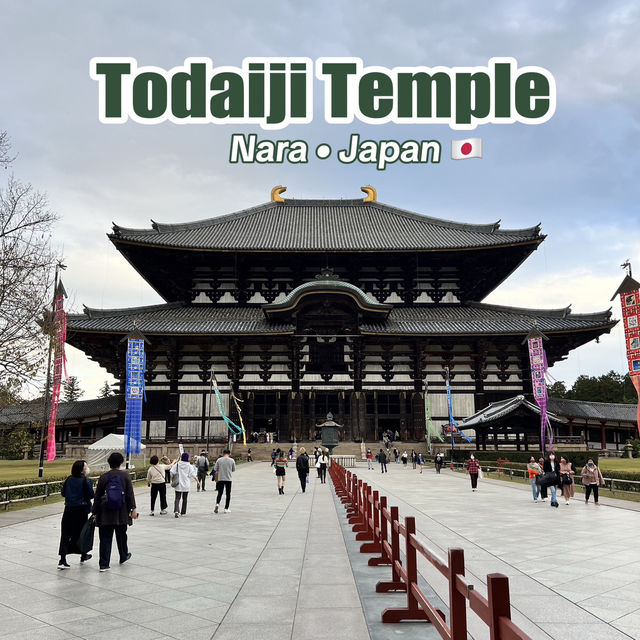Todaiji Temple • เมืองนารา 🇯🇵 ญี่ปุ่น