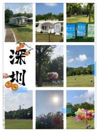 "深圳蓮花山風箏廣場：野餐放風箏的天堂" 🪁🌳🧺