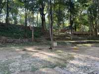 กางเต็นท์ เดินป่าชมผาหินจูบกันที่ออบหลวง