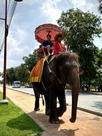 ขี่ช้างชมโบราณสถาน!🐘 กิจกรรมสุดจึ้งในอยุธยา