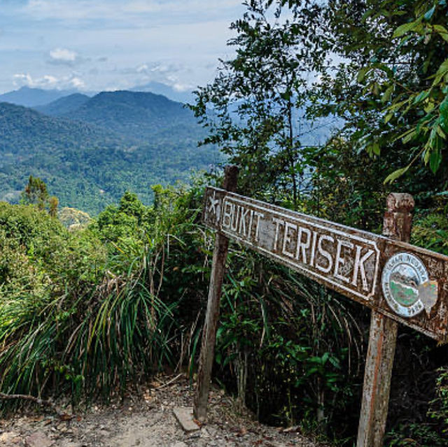 Planning a Camping Adventure in Taman Negara National Park
