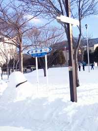 【北海道:洞爺湖】冬を楽しめる洞爺湖！