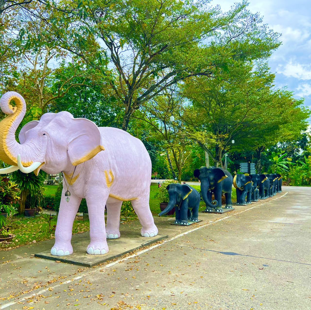 สักการะพระบรมสารีริกธาตุ วัดนามะตูม