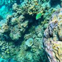 Dive into the Wonders of Gili Air