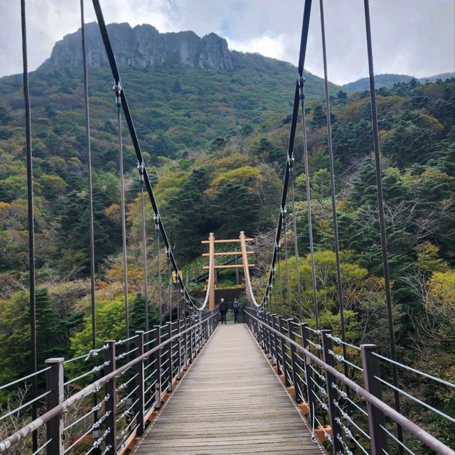 우리나라에서 가장 높은산 한라산을 가보자