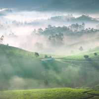 Munnar Magic: Unraveling the Charm of Kerala's Hill Station