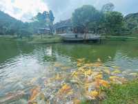 เหมืองปิล็อก - อ.ทองผาภูมิ กาญจนบุรี