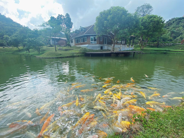เหมืองปิล็อก - อ.ทองผาภูมิ กาญจนบุรี