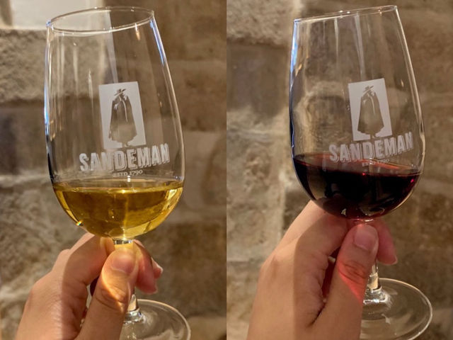 葡萄牙 🇵🇹 波爾圖｜參觀斗篷先生山地文酒廠 🍇🍷