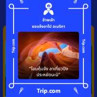 🐑 “อาข่า ฟาร์มวิลล์” ฟาร์มแกะเปิดใหม่เชียงราย 