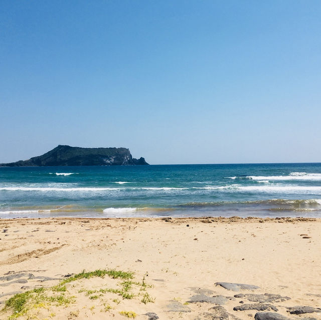 뚜벅이로 제주 동쪽 여행😁 화창한 날씨로 한층더 행복해지기💕