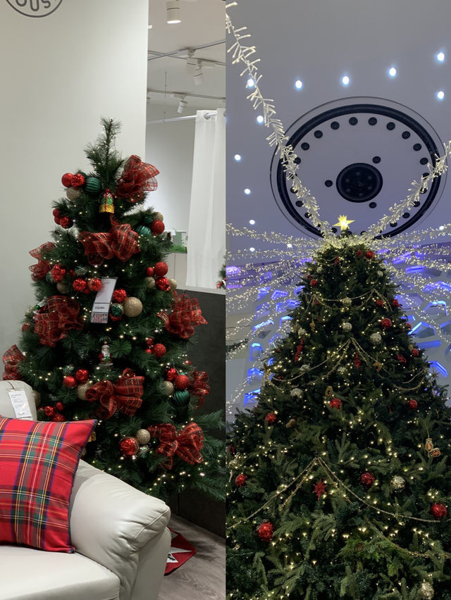 크리스마스 트리를 볼 수 있는 부산 여행지!🎄