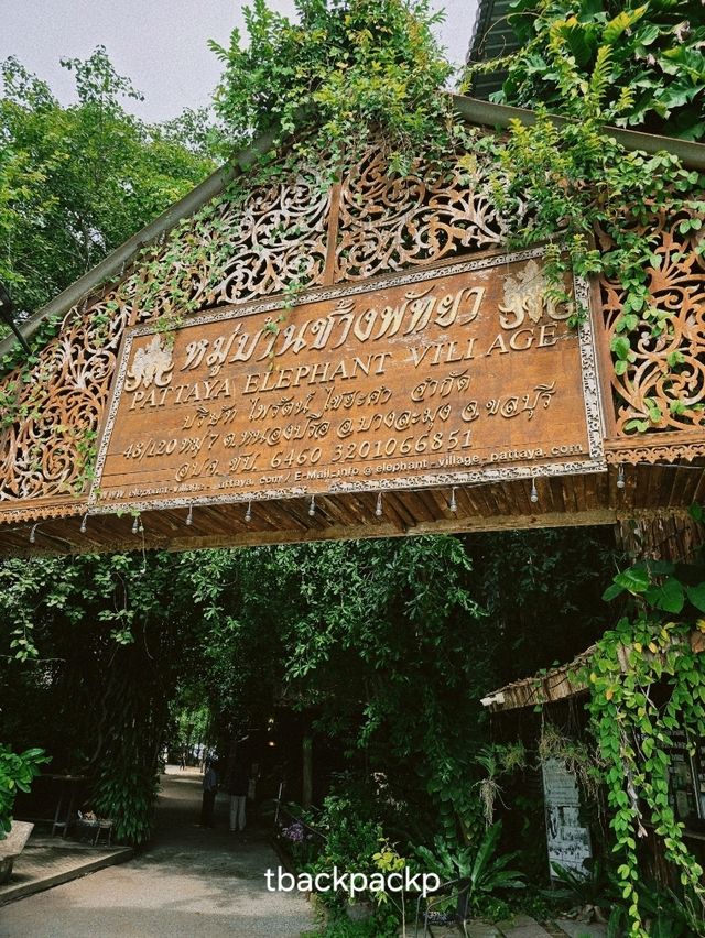 หมู่บ้านช้างพัทยา กิจกรรมแน่น ถูกใจทุกวัยแน่นอน🐘