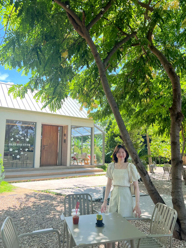 Bake Upon A Time 🌿 คาเฟ่บรรยากาศดี แสงสวย ☀️