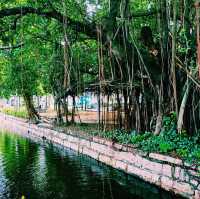 馬來西亞檳城喬治城著名城市古跡綠洲公園景點:Prangin (SiaBoey) Park Georgetown，適合打卡拍照📸親子遊