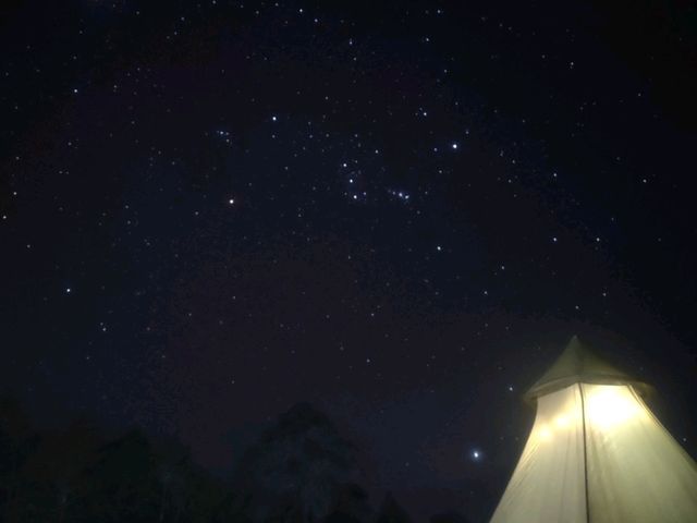 Silent night Holly Night: A Magical Christmas Adventure in Phu Kradueng