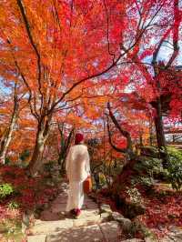 京都嵯峨野の紅葉名所😊🍁小倉山の常寂光寺🍁