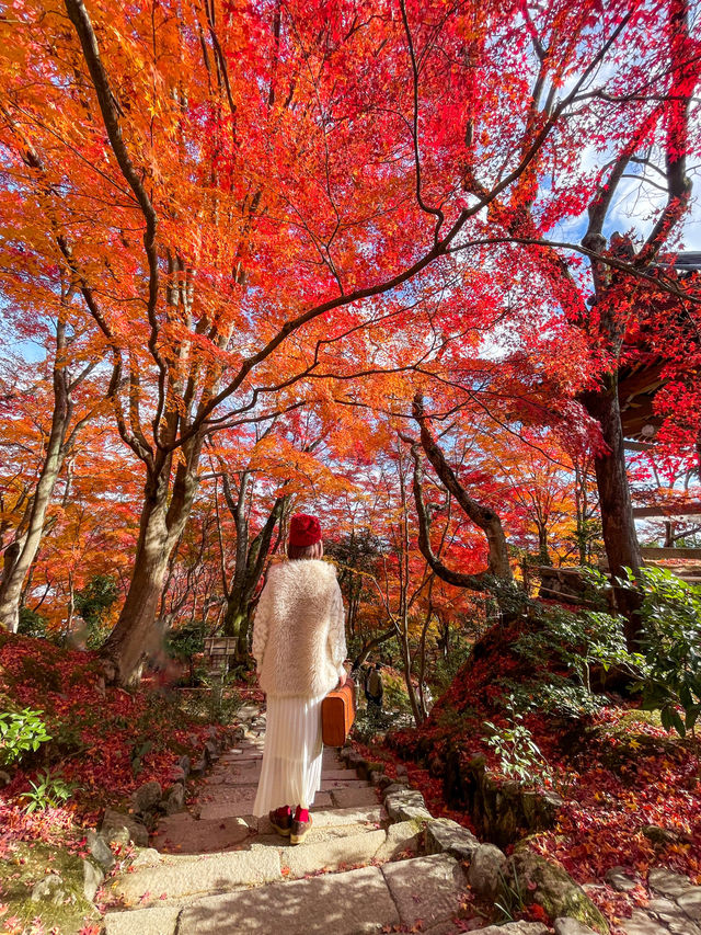 京都嵯峨野の紅葉名所😊🍁小倉山の常寂光寺🍁