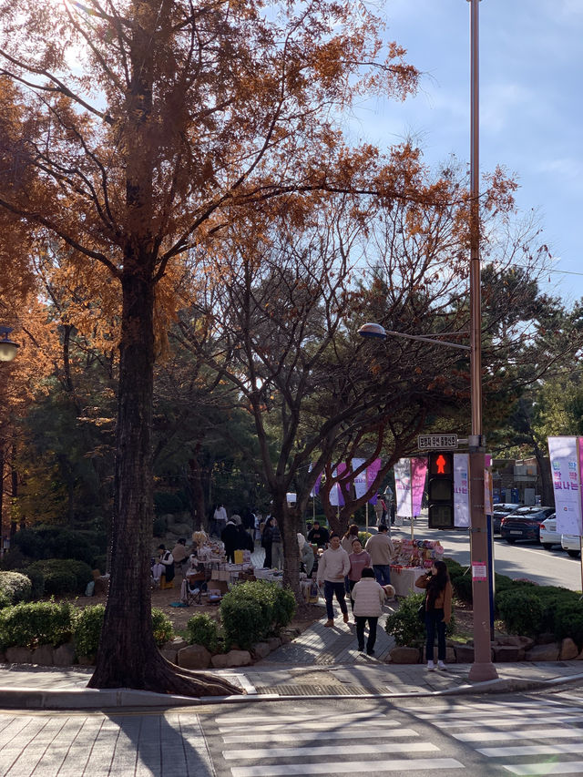 단풍아래 다양한 팝업과 문화행사가 열리는 곳