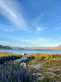 Lake Tekapo ทะเลสาบสีฟ้าที่ถูกต้อง 🩵