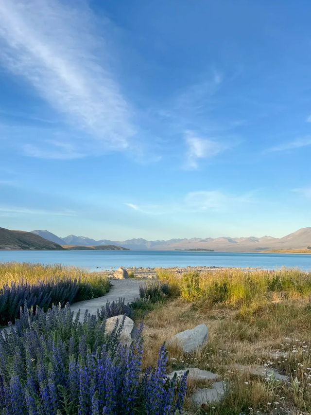 Lake Tekapo ทะเลสาบสีฟ้าที่ถูกต้อง 🩵