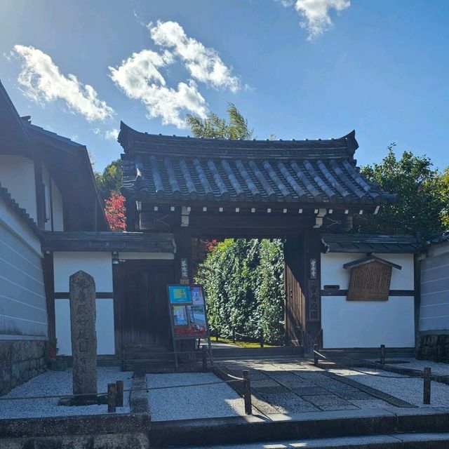 京都賞楓〔雪舟寺〕與〔天得院〕的靜謐之美