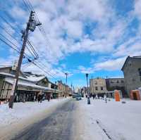 北海道旅遊✈️札幌市🚂小樽運河🏞️小樽運河廣場😍白色戀人公園📸熱門旅遊景點介紹✨