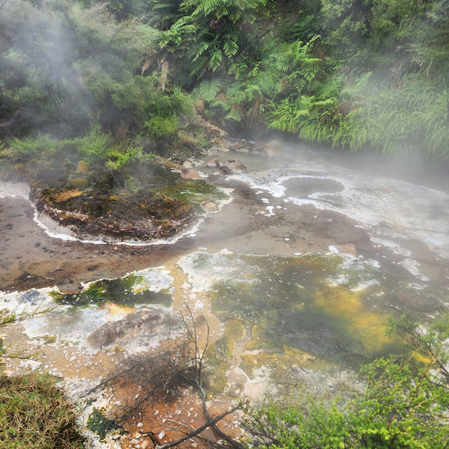 Stepping into Nature's Fury: Waimangu Volcanic Valley