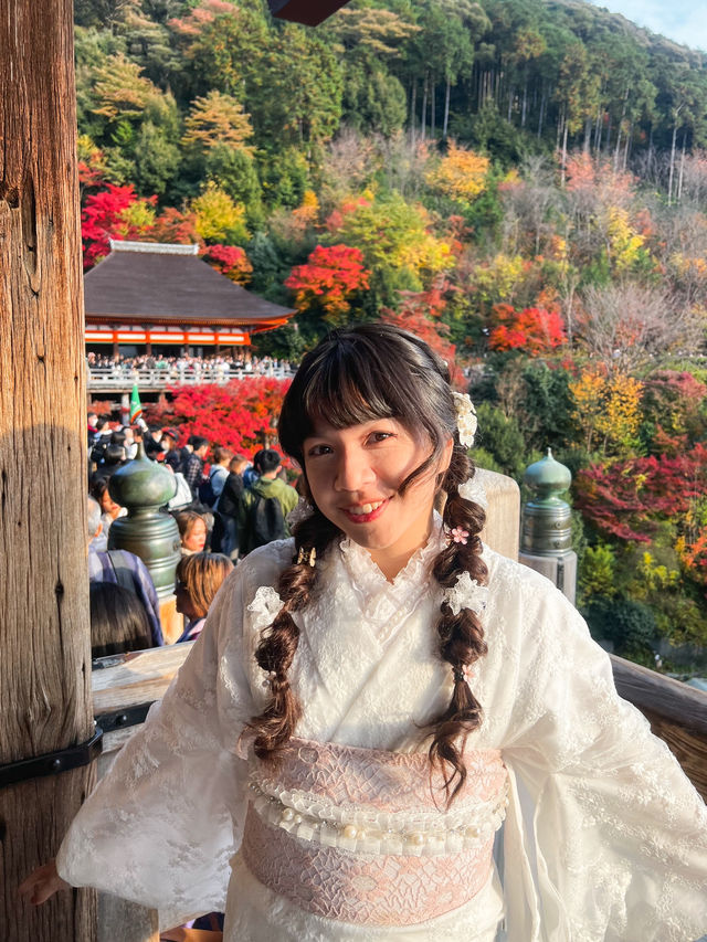 這是清水寺最美的樣子嗎🍁京都楓葉行