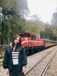 One Day Trip from Taipei to Alishan🏞️🍁