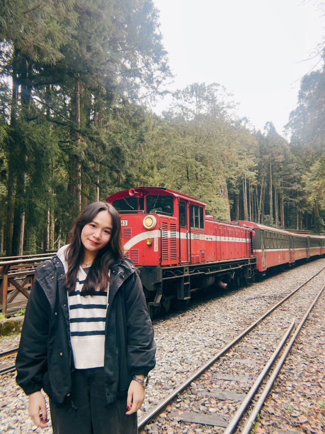 One Day Trip from Taipei to Alishan🏞️🍁
